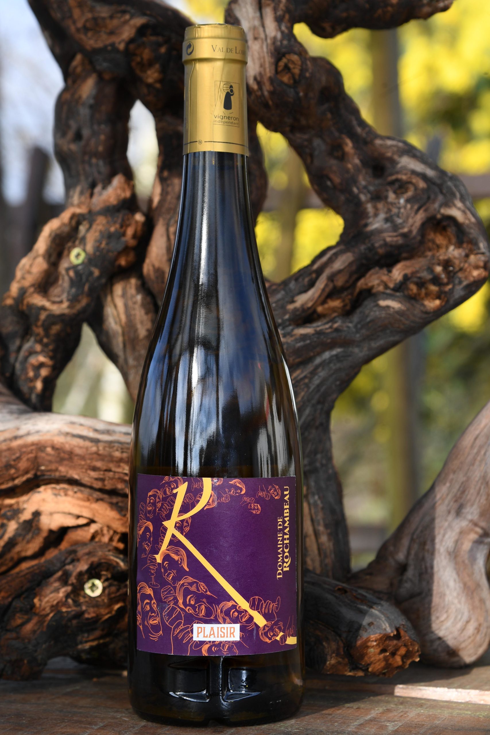 Coteaux de l’Aubance « Plaisir » Coteaux de l'Aubance Plaisir