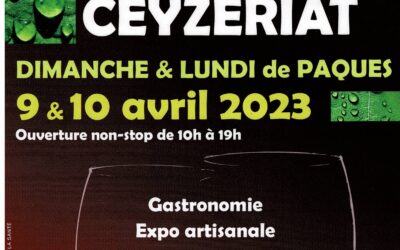 Foire aux vins de Ceyzeriat